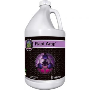 Plant Amp Gallon