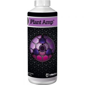 Plant Amp Quart