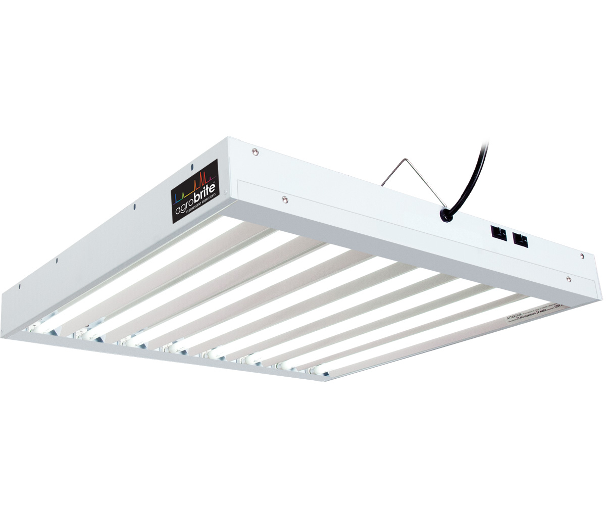 T5 2Ft 8 Tube Fixture w/Bulbs T5 2Ft 8 Tube Fixture w/Bulbs
