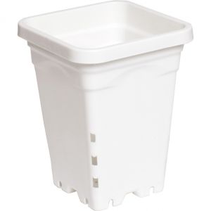 5"x5" Square White Pot, 7" Tall, 100 per case