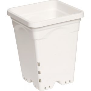 6"x6" Square White Pot, 8" Tall, 50 per case