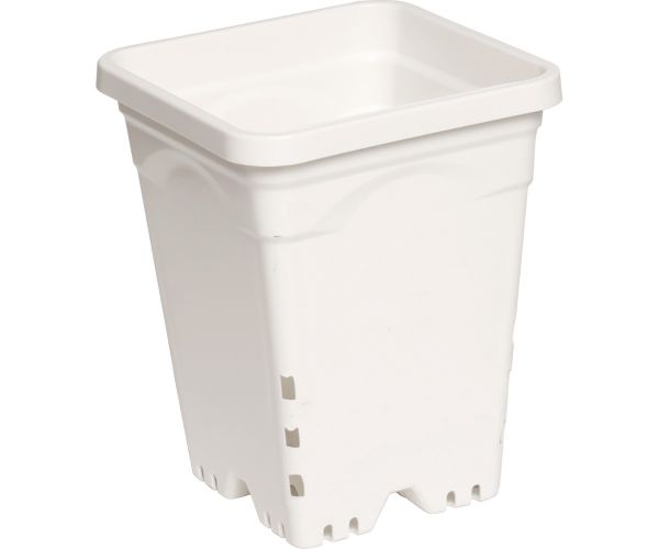 6"x6" Square White Pot, 8" Tall, 50 per case