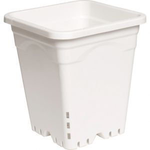 9"x9" Square White Pot, 10" Tall, 24 per case