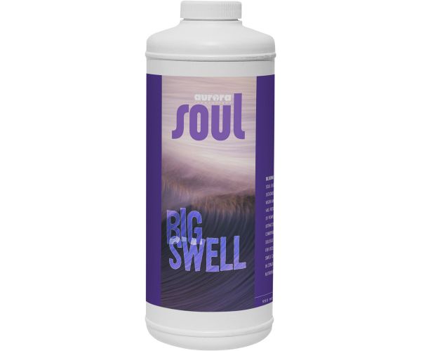 Soul Big Swell Qt