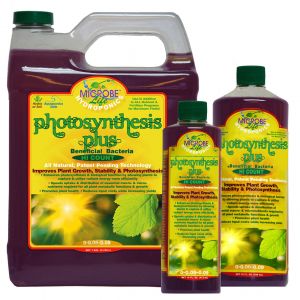 Photosynthesis Plus Gal