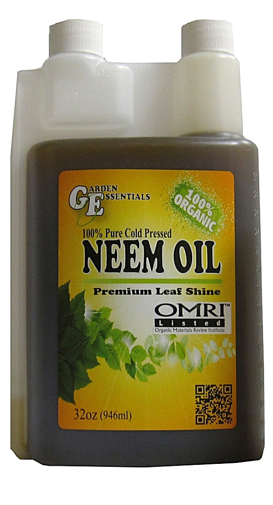 lighting neem oil lamp