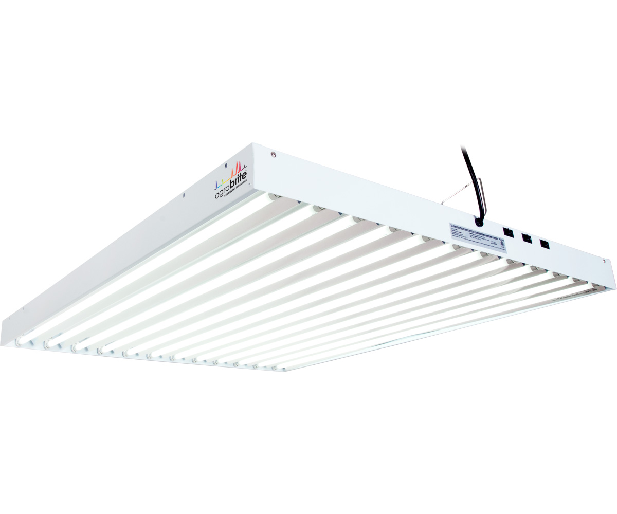 T5 4Ft 12 Tube Fixture w/Bulbs T5 4Ft 12 Tube Fixture w/Bulbs