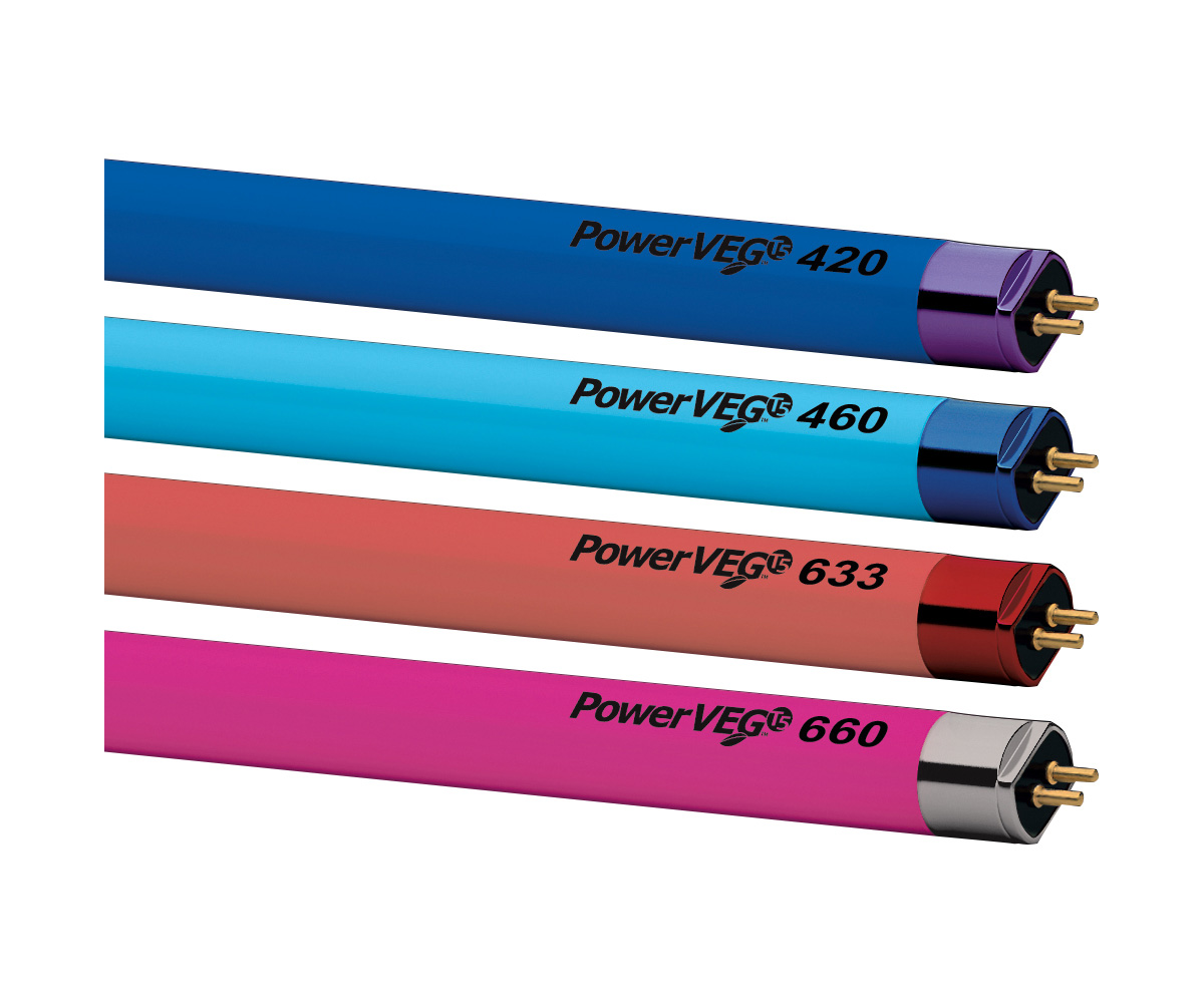 PowerVEG T5 4′ Multi-Color Pack (24/cs) PowerVEG T5 4' Multi-Color Pack (24/cs)