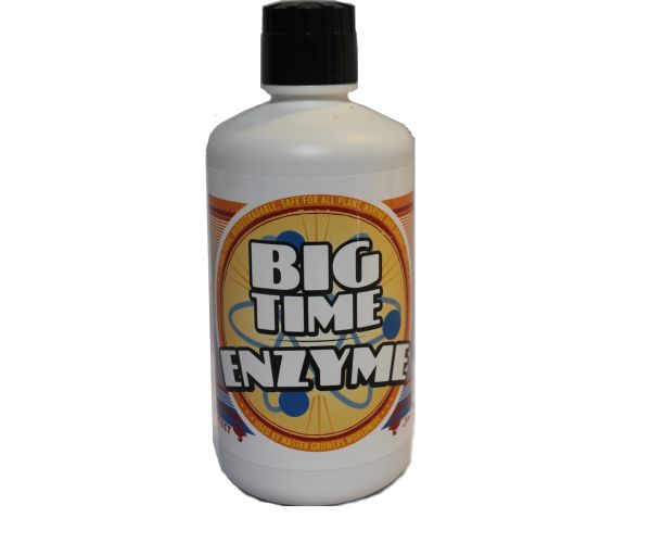 Big Time Enzyme Qt (16/cs)