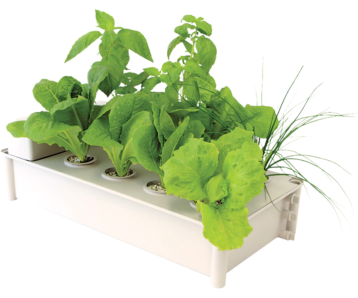 Salad Box Hydroponic Salad Garden Kit (4/cs) Salad Box Hydroponic Salad Garden Kit (4/cs)