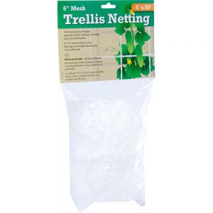 Trellis Netting 6" Mesh, 4' x 50'
