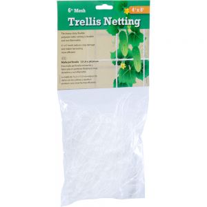 Trellis Netting 6" Mesh, 4' x 8'