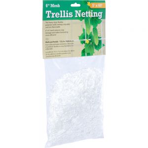 Trellis Netting 6" Mesh, 5' x 60'
