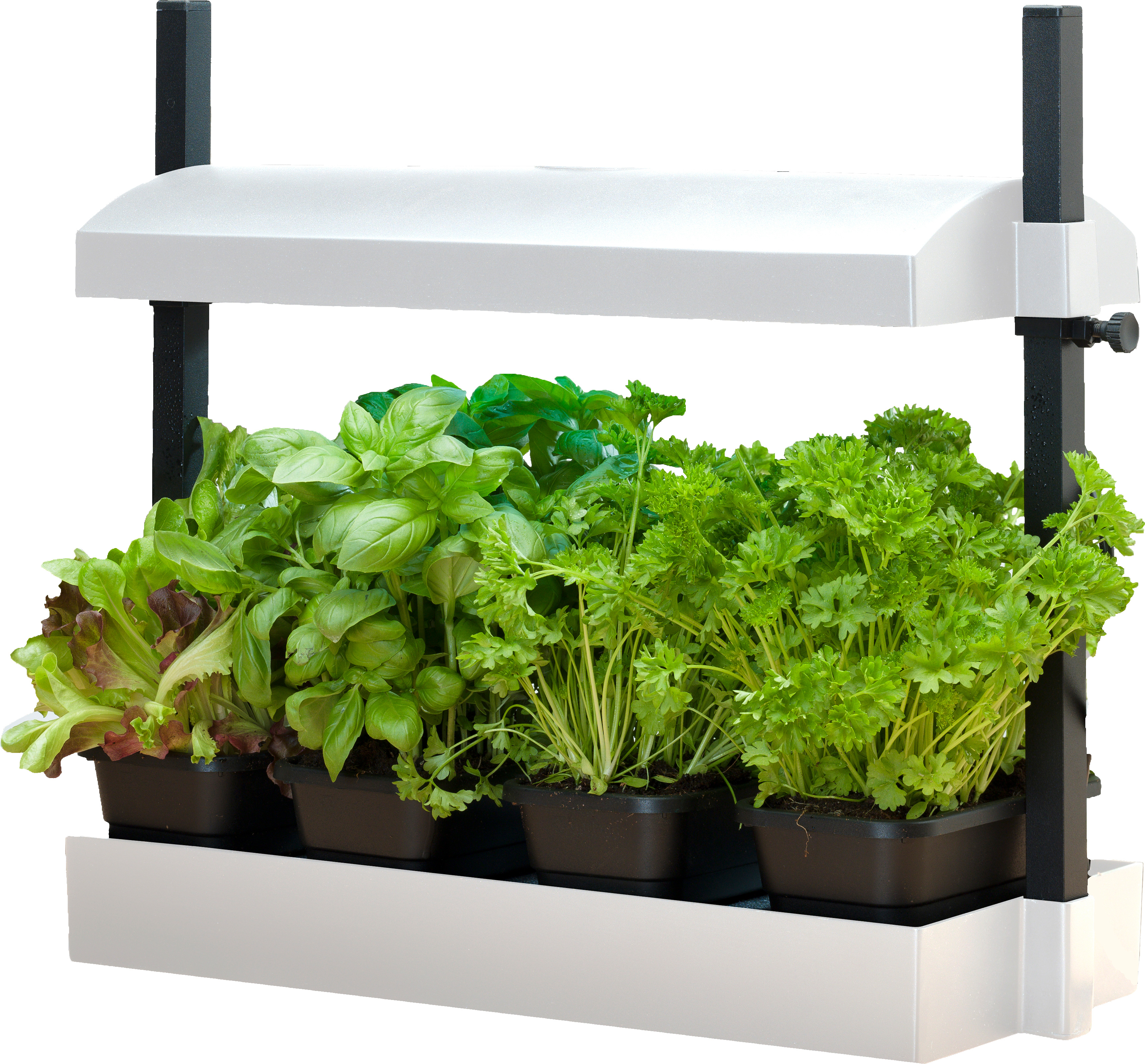 Micro Grow Light Garden White (1/ea) Micro Grow Light Garden White (1/ea)