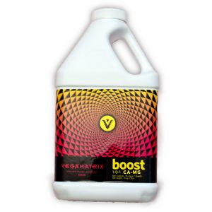 Boost, 1 gal (4/cs)