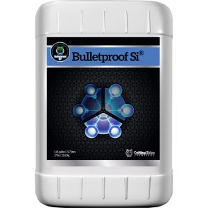 Bulletproof Si 6