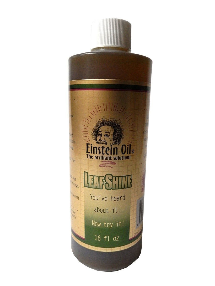 Einstein Oil, 16 oz Einstein Oil, 16 oz