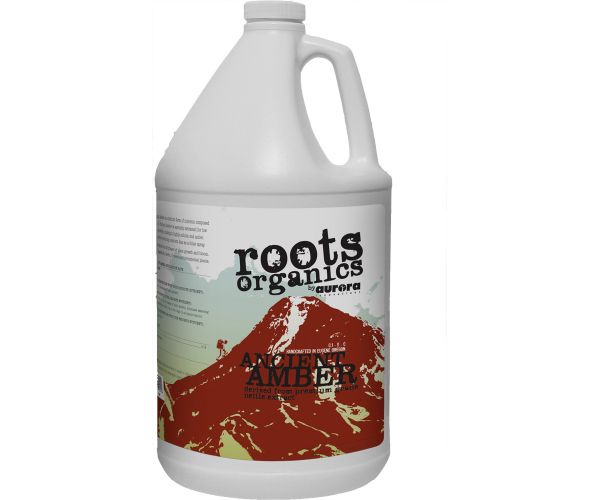 Roots Ancient Amber 1 gal