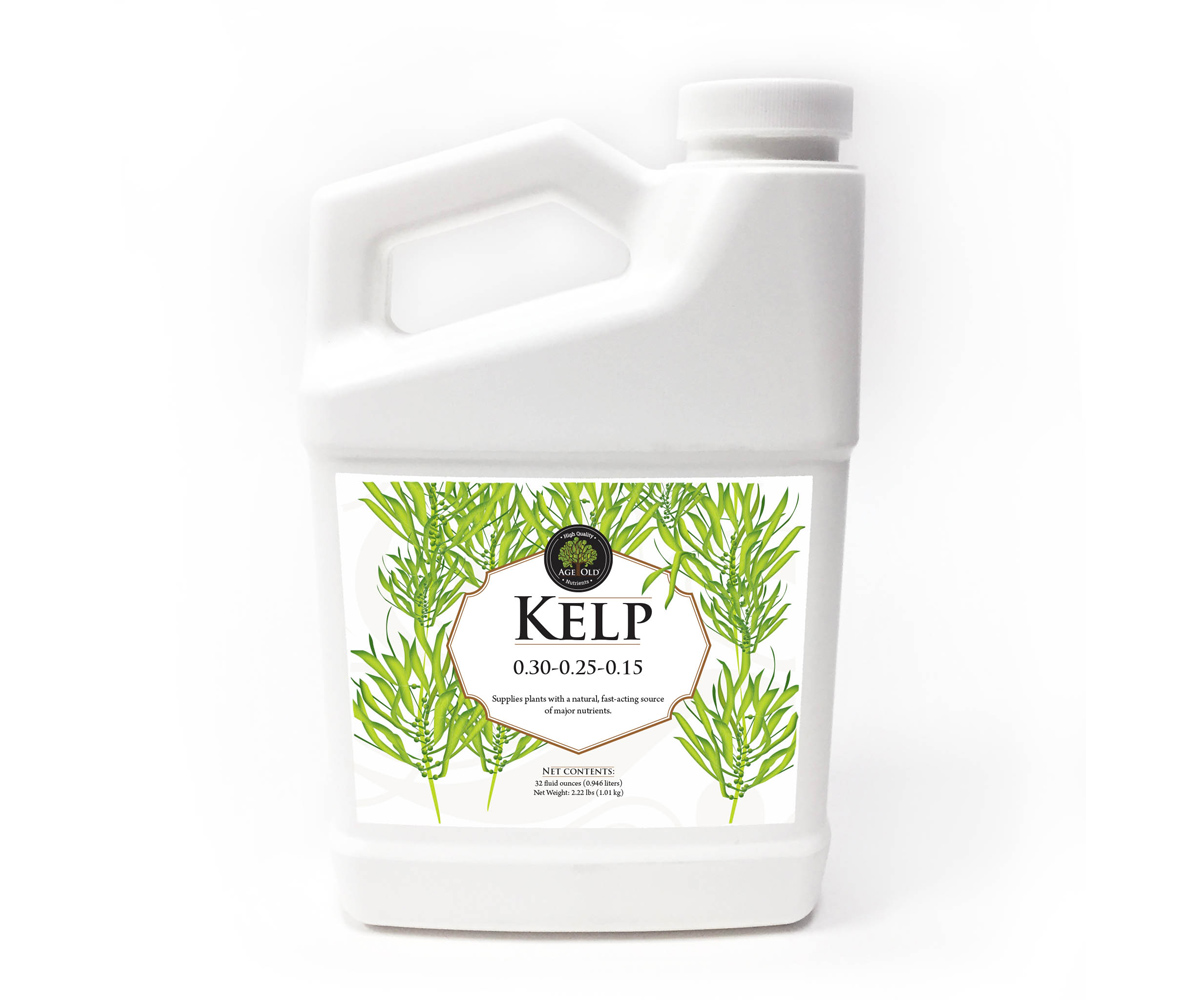 Age Old Kelp 32 oz, 12/cs Age Old Kelp 32 oz, 12/cs