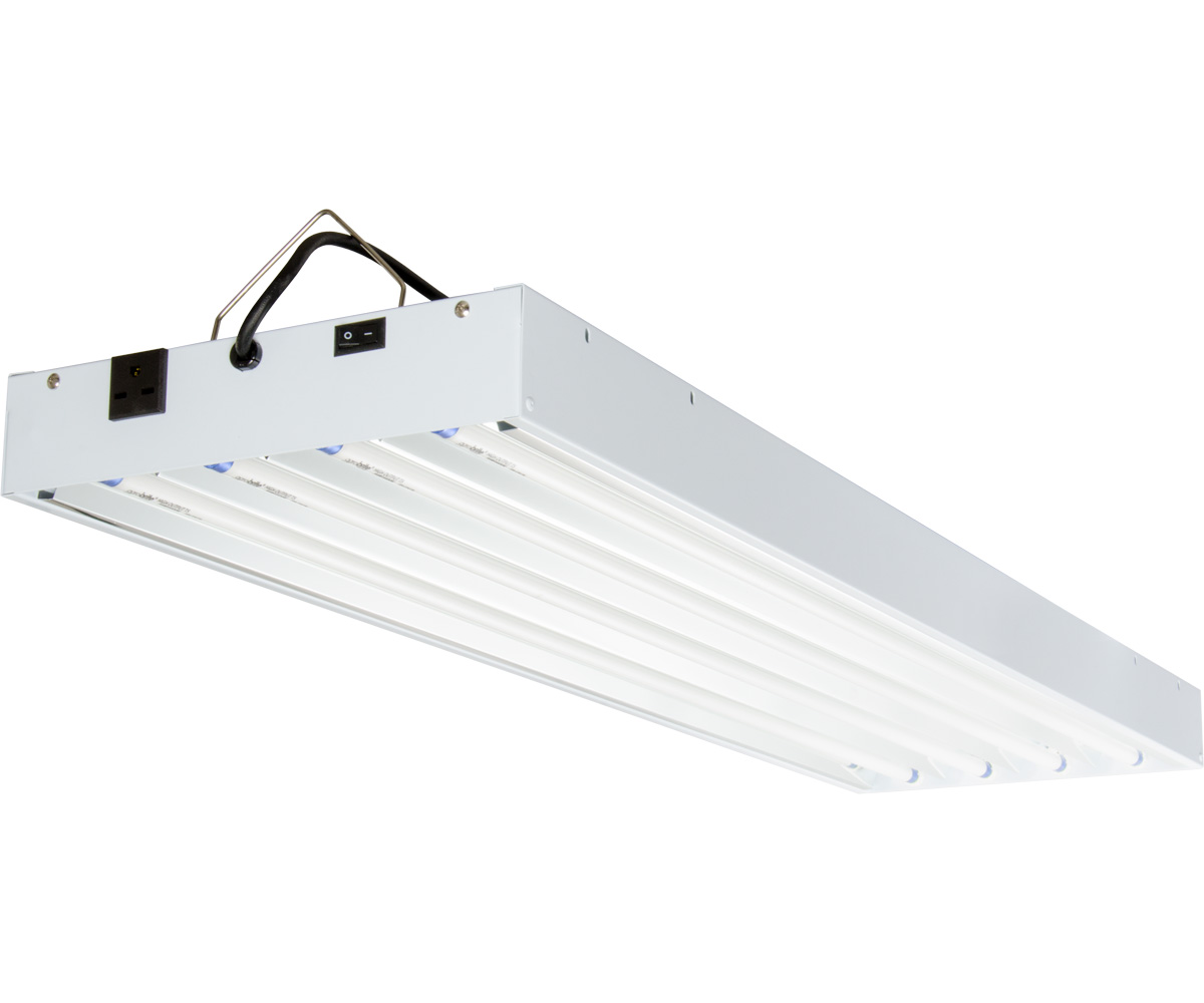T5 4Ft 4 Tube 240V Fixture w/Bulbs T5 4Ft 4 Tube 240V Fixture w/Bulbs