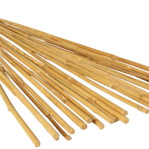 GROW!T 2' Bamboo Stakes, pack of 25