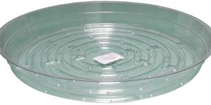 Clear 10 inch Saucer, pack of 25