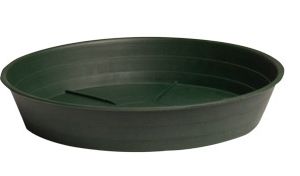 Green Premium Saucer 14", pack of 10