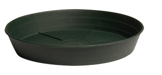 Green Premium Saucer 8", pack of 25