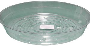 Clear 8 inch Saucer, pack of 25