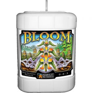 Bloom 15 Gallon