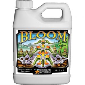Bloom 32 oz.