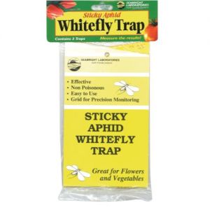 Sticky Aphid Whitefly Trap 3/Pack (1 = 24/Cs)