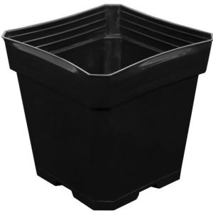 Gro Pro Black Plastic Pot 5.5 in x 5.5 in x 5.75 in (200/Cs)