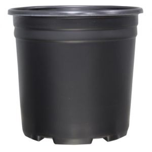 Thermoformed Nursery Pot  2 Gallon