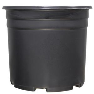 Thermoformed Nursery Pot 3 Gallon