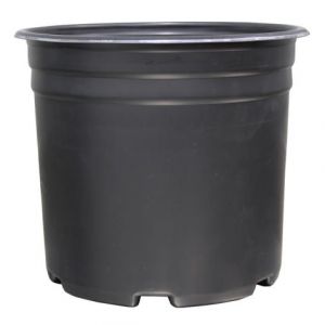 Thermoformed Nursery Pot  5 Gallon